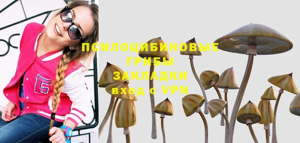 соль курить ск Верхний Тагил