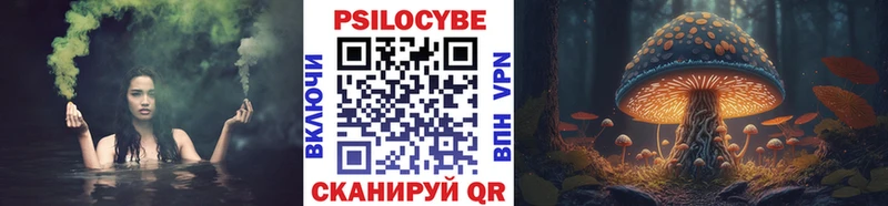 наркота  Заволжье  Псилоцибиновые грибы Magic Shrooms 